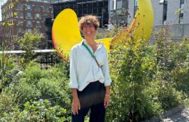 Il mio viaggio New York